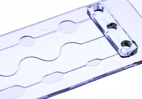 Microfluidic chip closeup