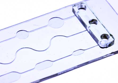 Microfluidic chip closeup